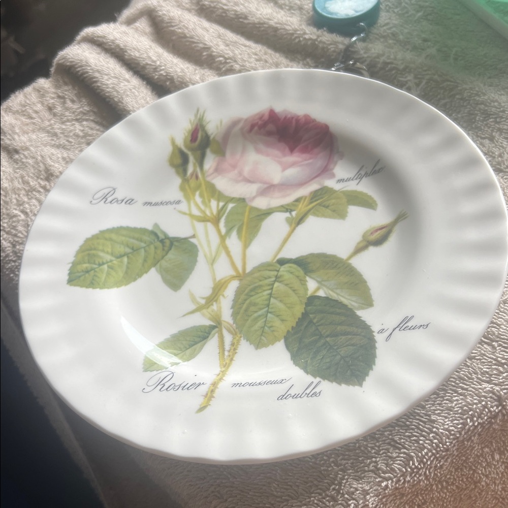 Vintage Floral Porcelain Dinner Plate